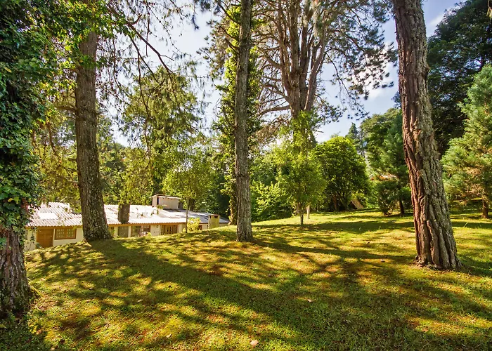 Villa Vintage Campos - Piscina E Opcoes De Suites Com HidromassagemPousada